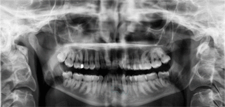 Figure 5.